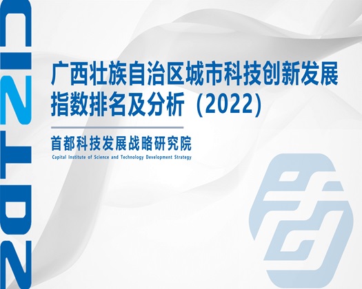 啊啊……好爽动态【成果发布】广西壮族自治区城市科技创新发展指数排名及分析（2022）